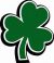 Lucky Shamrock